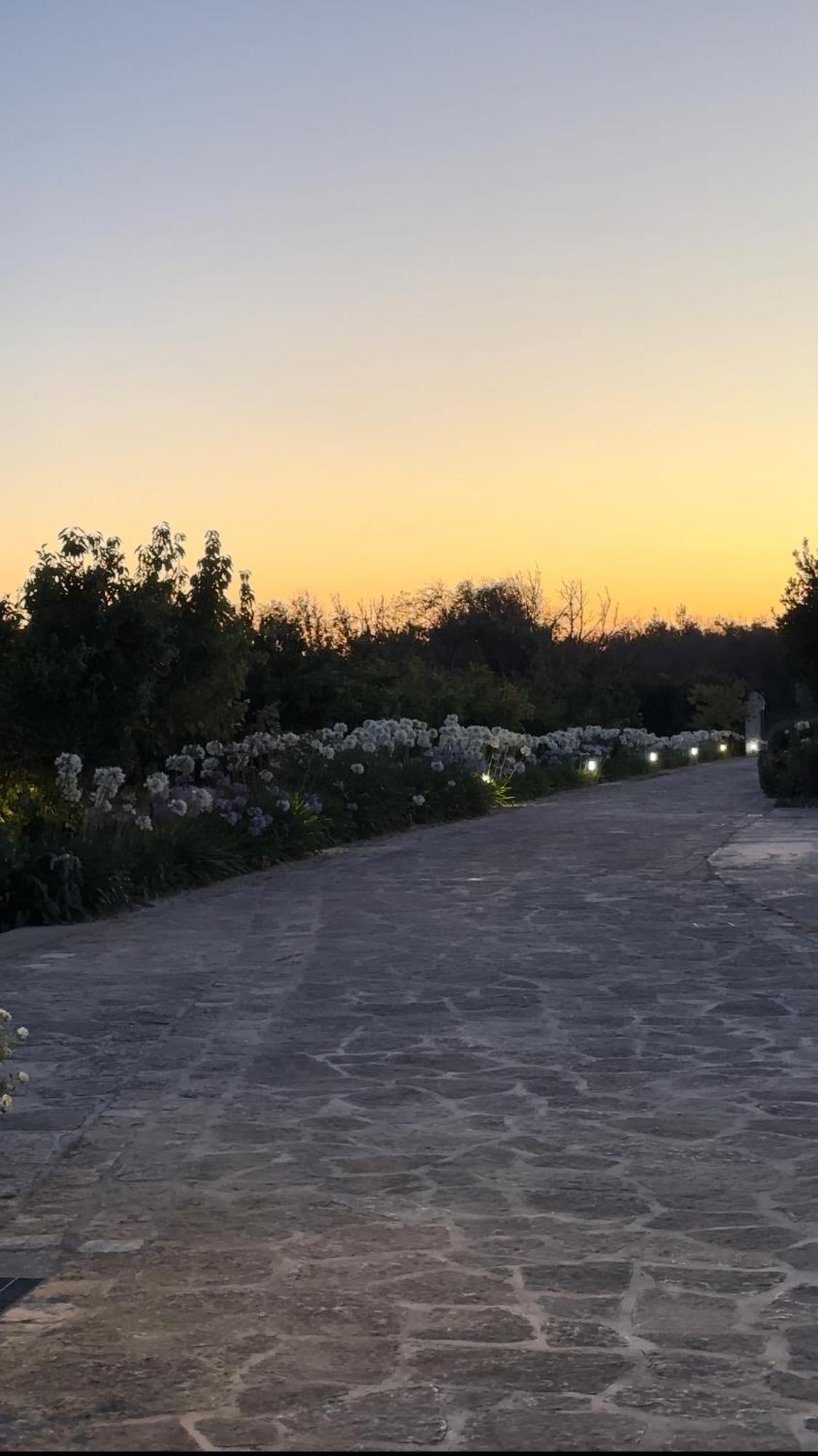 سانتا سيزاريا تيرمي Agriturismo Panacea المظهر الخارجي الصورة