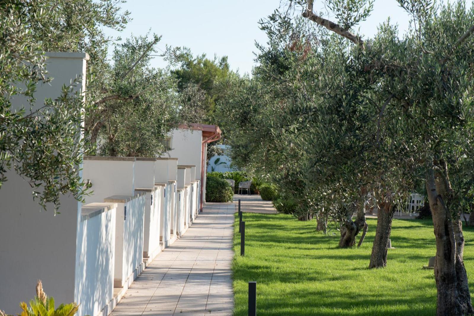 سانتا سيزاريا تيرمي Agriturismo Panacea المظهر الخارجي الصورة